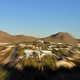 Image for article titled Zoom Photo Challenge Gallery 2